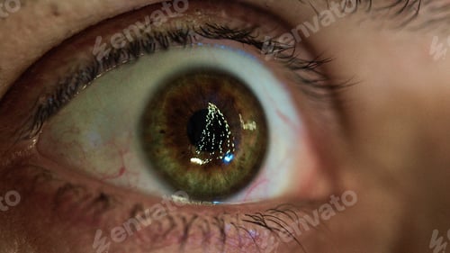 Preview: Christmas tree reflected into the eyeball