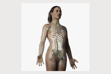 Preview: African Female Anatomy: Skeletal & Lymphatic Overview