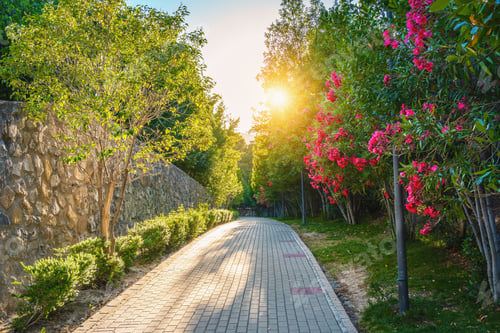 Preview: Seminary Park (Parque del Seminario) - Jaen, Spain