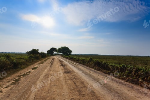 Preview: Brazilian dirt road in perspective
