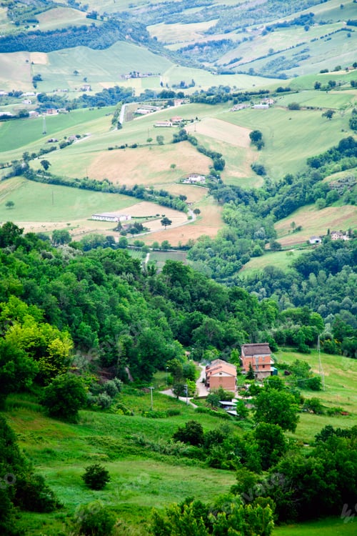 Preview: Lovely green lush countryside in the morning light. Italy