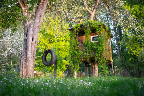 Preview: House on tree