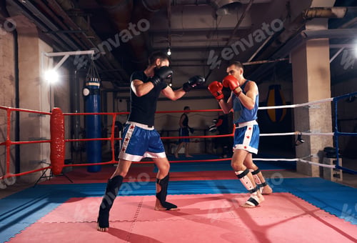 Preview: Boxers training kickboxing in the ring at the health club