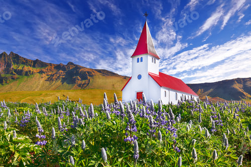 Preview: Splendid view of Vikurkirkja christian church in blooming lupine flowers