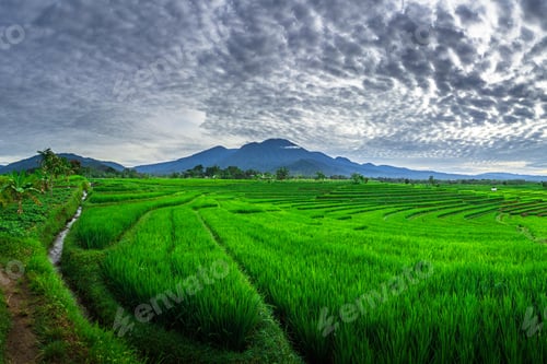 Preview: beautiful morning view from Indonesia of mountains and tropical forest