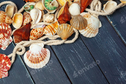 Preview: seashells on wooden background