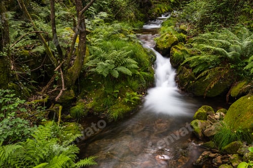 Preview: Beautiful water stream in Gresso river Portugal
