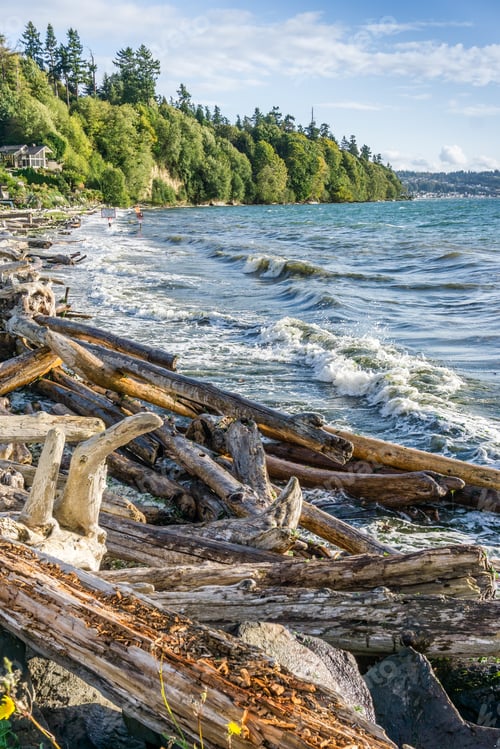 Preview: White Water Flies Up As Wave Hit Shore On The Puget Sound.