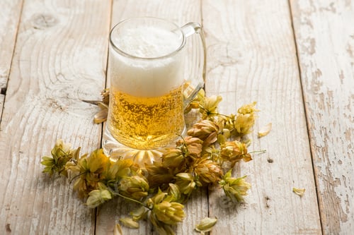 Preview: glass of Home made beer with hop cone