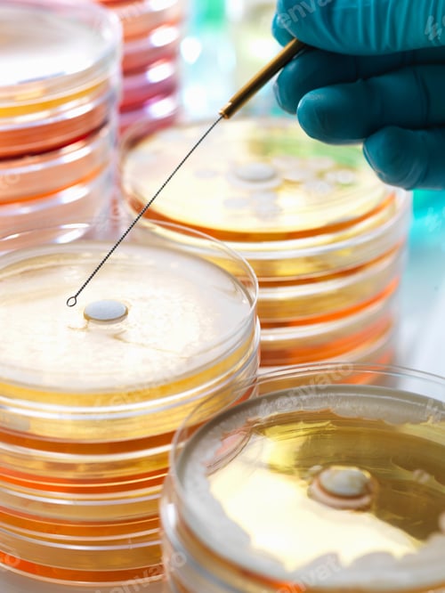 Preview: Antibiotic drugs being tested to see how resistant they are to bacteria
