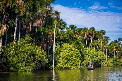 Preview: Canoe boat trip on Sandoval Lake, Tambopata National Reserve, Amazon Jungle of Peru, South America
