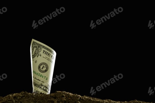 Preview: Rolled bank note on top of soil