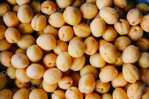 Preview: Ripe apricots lying in heap