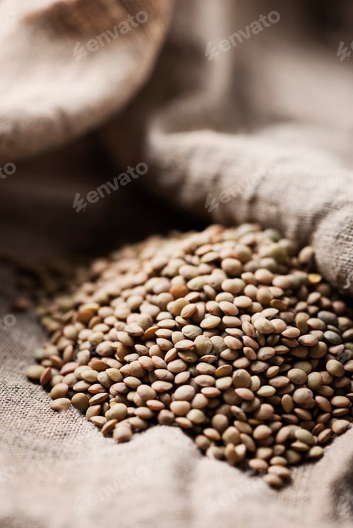 Preview: Raw healthy brown lentil