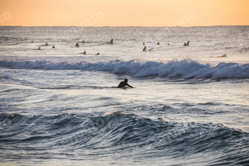 Preview: Surfing