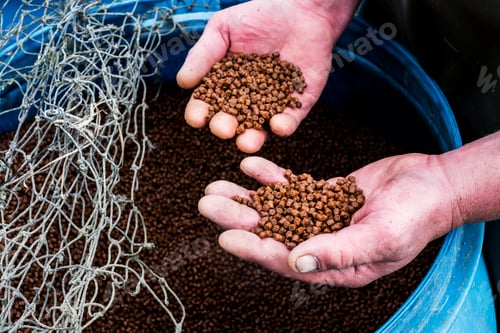 Preview: High angle close up of person holding heap of brown pellets, fish food at a fish farm raising trout.