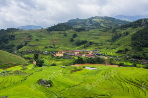Preview: Paddy rice terraces, green agricultural fields in countryside of mountain hills valley, Vietnam.