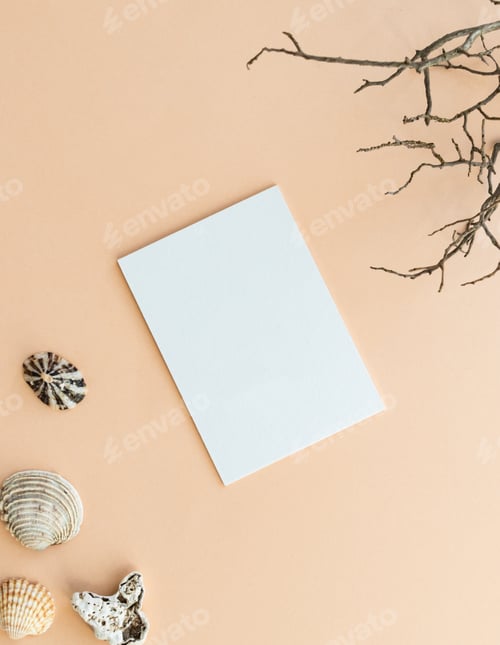 Preview: Blank white card, dry brunch and shells on beige background
