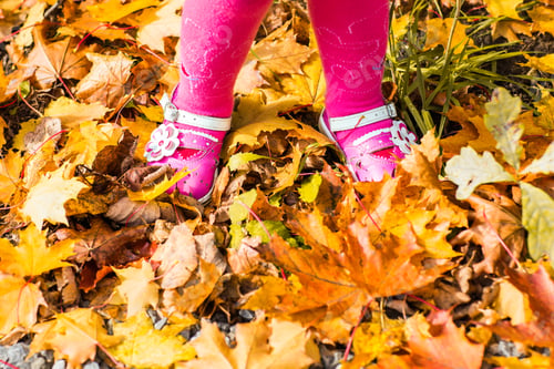 Preview: close-up of baby feet in shoes on autumn leaves