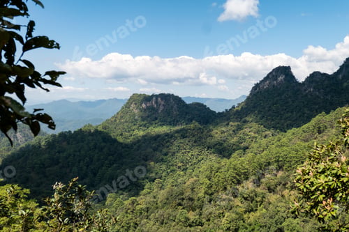 Preview: Scenery of mountain with tropical rainforest