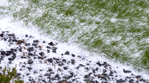 Preview: Lawn and Rock Garden Covered in Hail After Storm