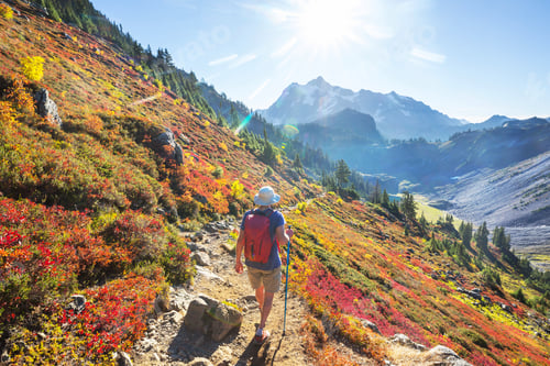 Preview: Hike in autumn season