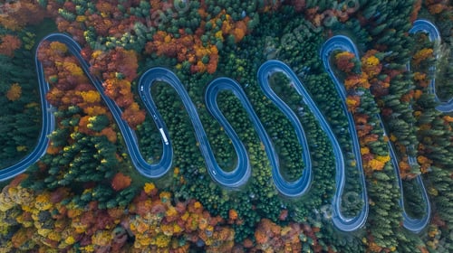 Preview: Curved road trough the forest