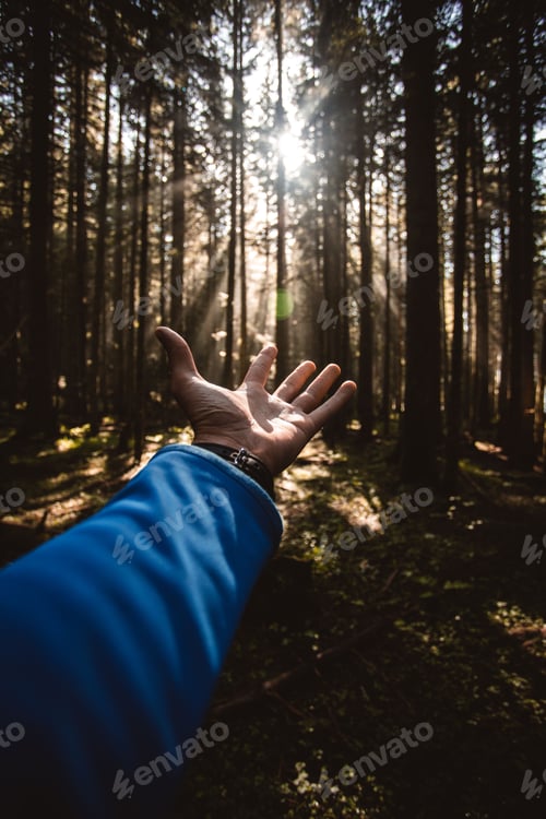 Preview: Vertical shot of a man's hand reaching out for the sunnshine in the forest