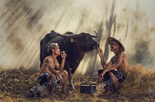 Preview: Two Asian old man smoking and talking with buffalo and ray of sun background