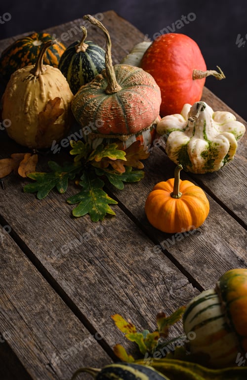 Preview: Various decorative pumpkins and dry leaves
