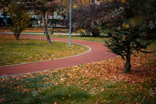 Preview: Walking path in a park covered in colorful dried leaves in autumn after a foliage