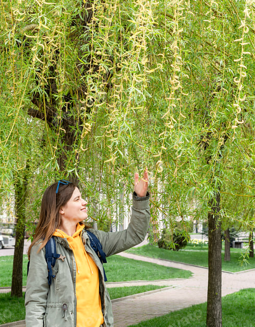 Preview: Smiling young woman tourist with backpack walking along alley of weeping willow with spring foliage