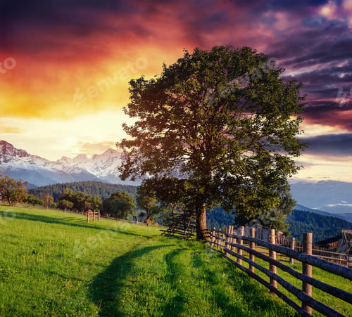 Preview: Wide Angle View of a Wooden Fence Under