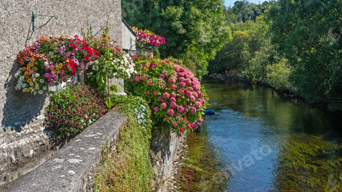 Preview: River Cong in Ireland
