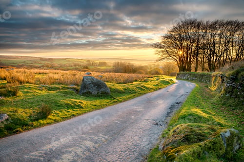 Preview: Bodmin Moor