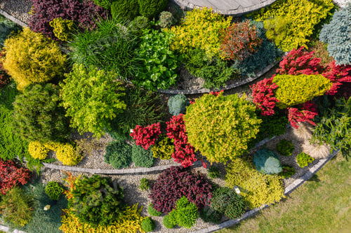 Preview: Vibrant Garden Design Showcasing Diverse Plant Life in a Well-Maintained Landscape