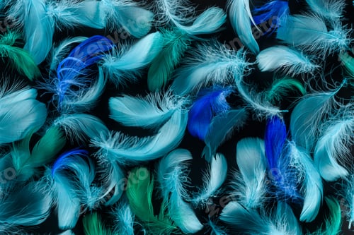 Preview: seamless background with bright blue and green feathers isolated on black