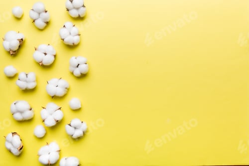 Preview: Autumn Floral Flat lay background composition. Dried white fluffy cotton flower branch