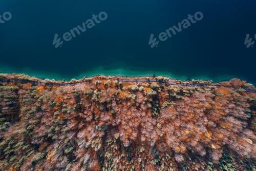 Preview: Aerial Top down texture Autumn Trees with turquoise lake, germany austria italy