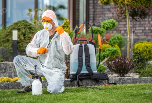 Preview: Gardener Preparing To Insecticide Garden Plants