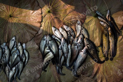 Preview: Fish for sale at Ywama Market, Inle Lake, Shan State, Myanmar (Burma)