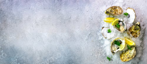 Preview: Fresh opened oysters, lemon, herbs, ice on concrete stone grey background. Top view, copy space