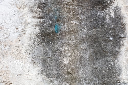 Preview: Stucco painted wall texture