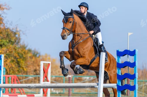 Preview: Young sportsman riding the sorrel horse jumping over an obstacle on show jumping competition