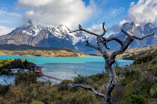 Preview: Pehoe lake in Torres del Paine chilean national park in Patagonia