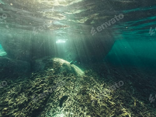 Preview: Underwater at the beach on the island