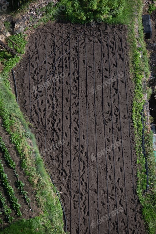 Preview: A person left traces in the garden while planting seeds. View from above.