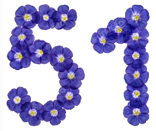 Preview: Arabic numeral 51, fifty one, from blue flowers of flax, isolated on white background