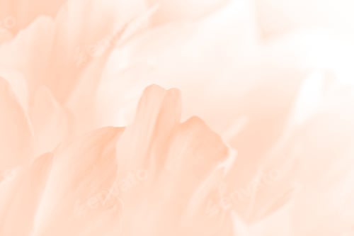Preview: peach fuzz - color of the year. peach peony petals close-up.