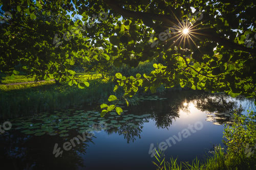 Preview: Sun shining over small pond on a calm day